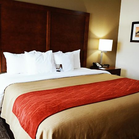 Comfort Inn & Suites Covington - Mandeville Экстерьер фото